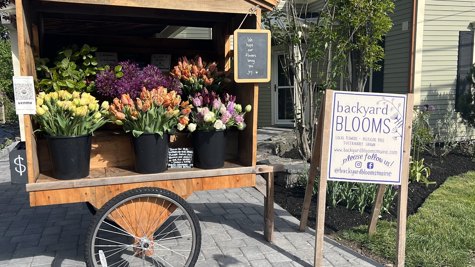 Backyard Blooms is a thriving micro flower farm in the heart of Portland. They show Gardening with Gutner around the farm and how to plant dahlia tubers correctly.