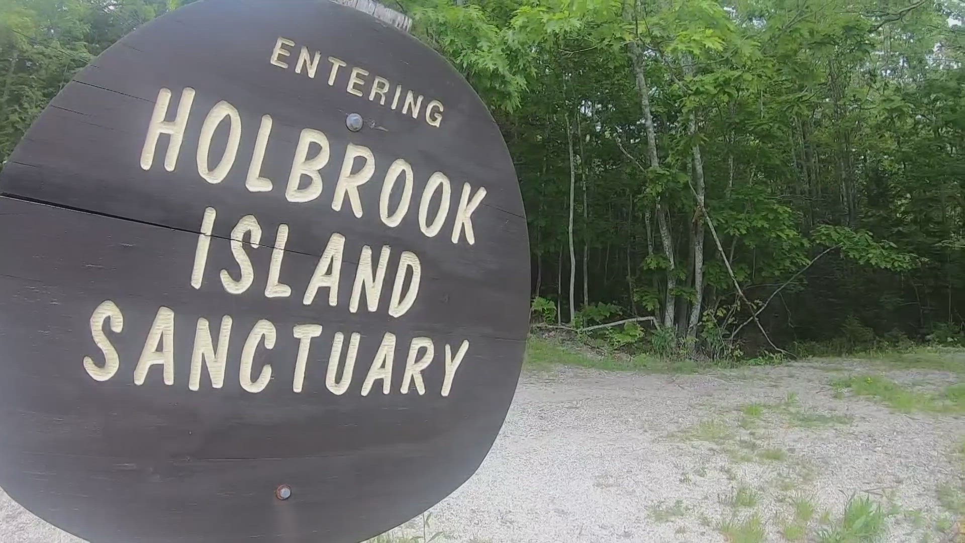 Participants will take a 20-minute boat ride from Castine to Holbrook Island, where a walk will be led by forager and author, Tom Seymour.