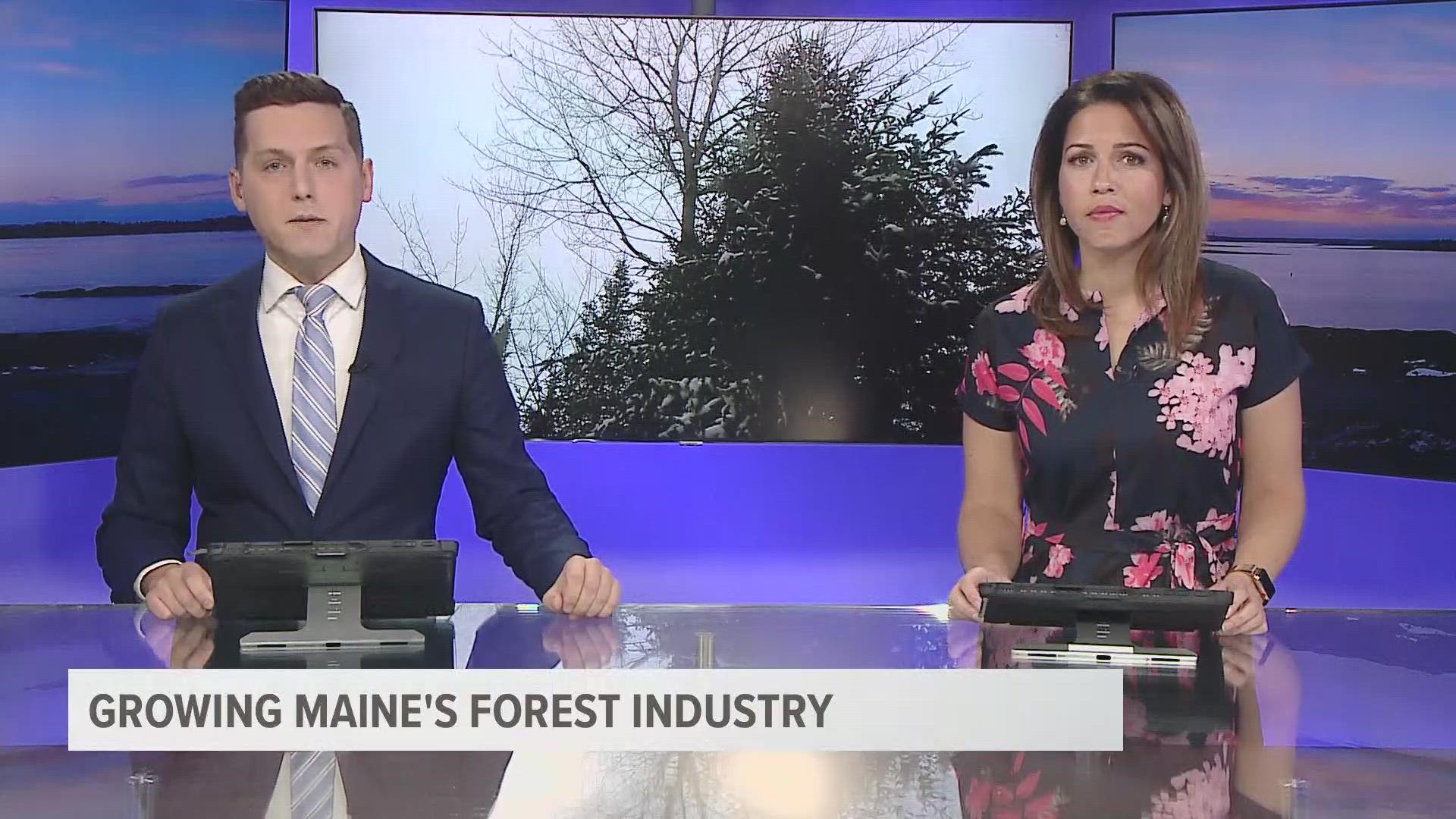 The project chosen focuses on growing the forest bio-economy to help make Maine the leader of bio-based materials.