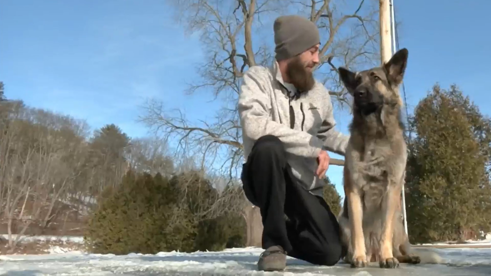 Hero Dog Leads Rescuers To Owner Thrown From Truck During Crash ...