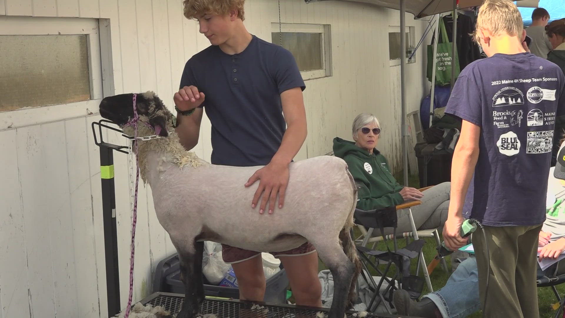 Cumberland County 4H is growing the future of agriculture