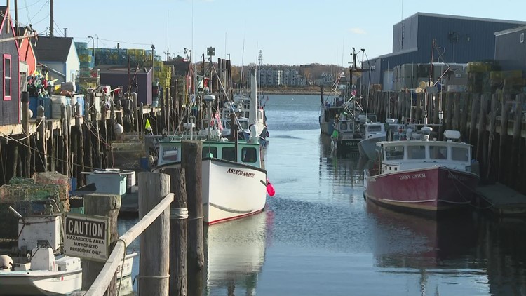 Massachusetts Lobstermen's Association files motion to join fight against federal lobster fishing regulations