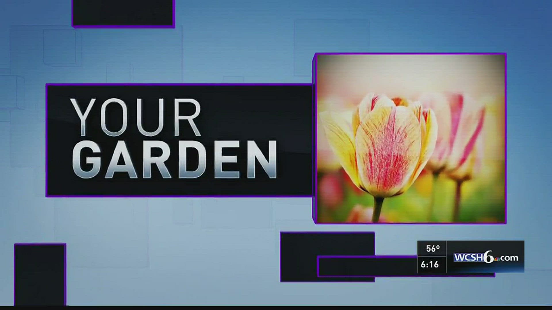Your Garden 06-04-16