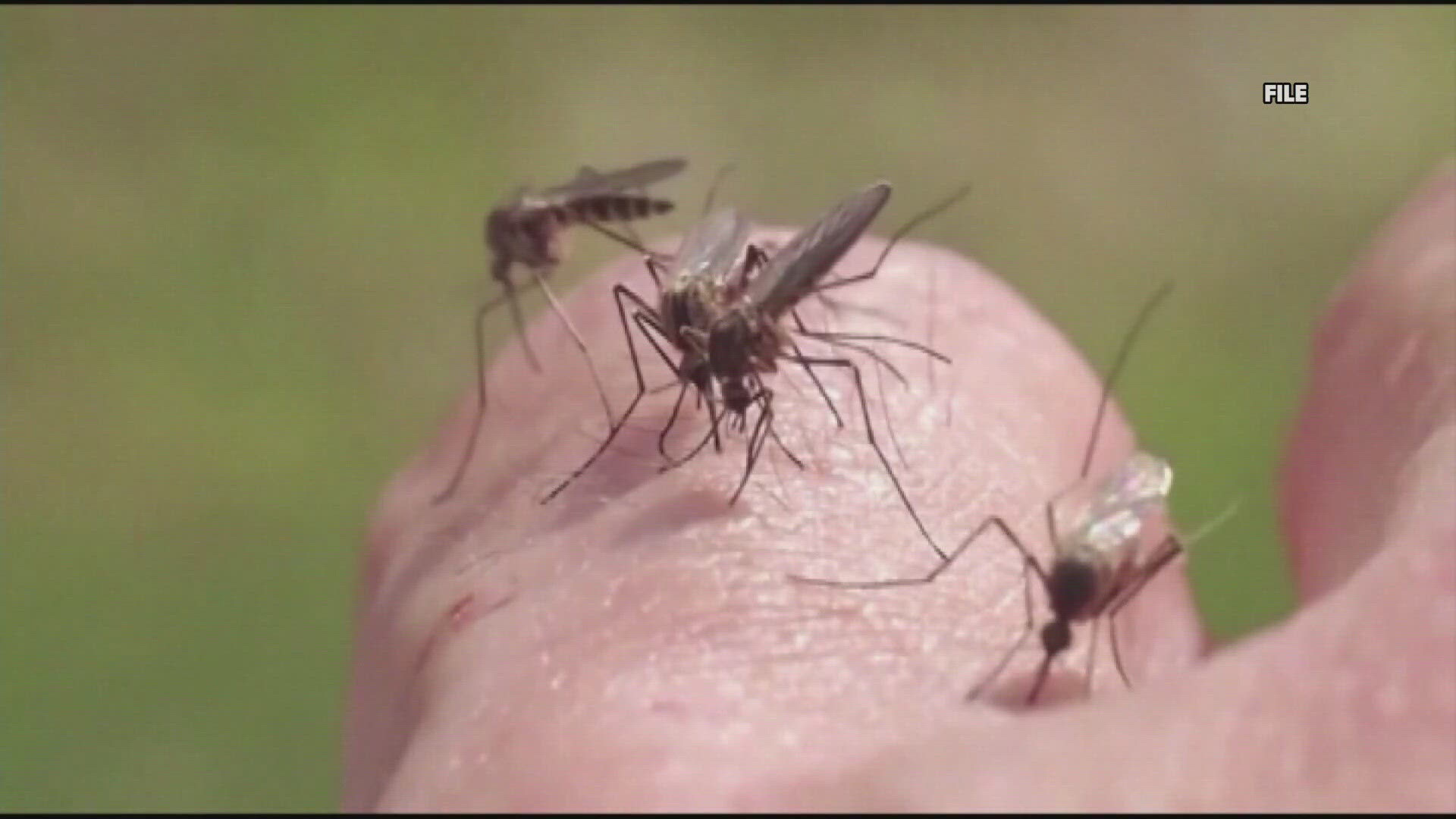 Vermont public health leaders say a man is dead after contracting the mosquito borne illness.