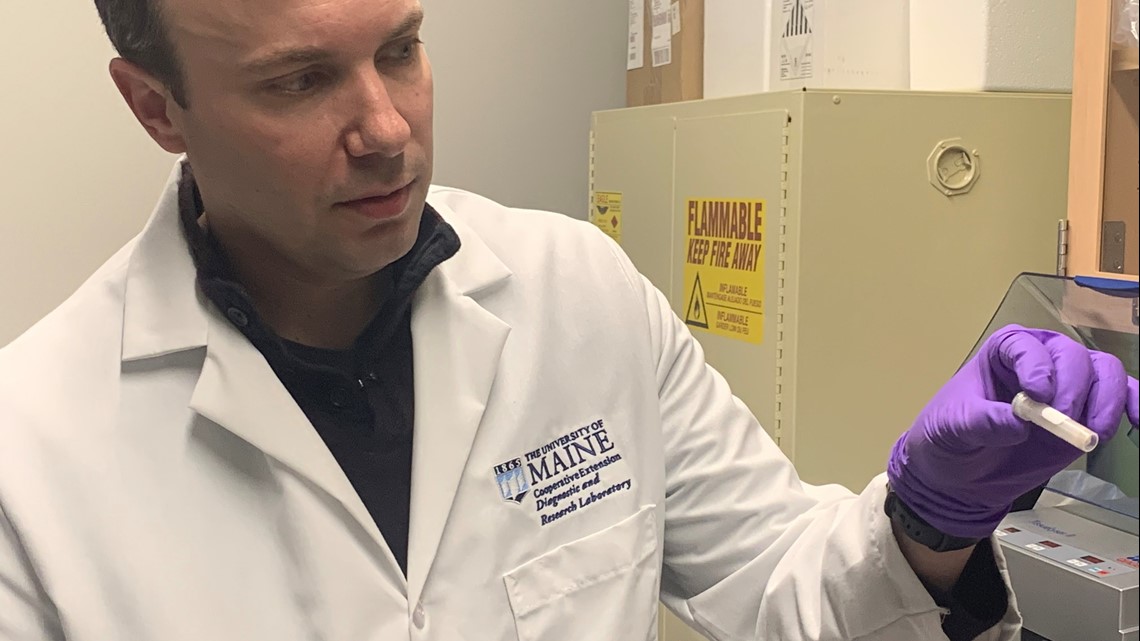 Tickborne infections on the rise in Maine