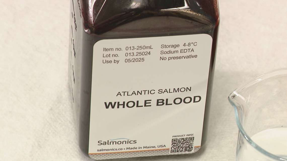 Brunswick startup transforms salmon waste into biomedical marvels