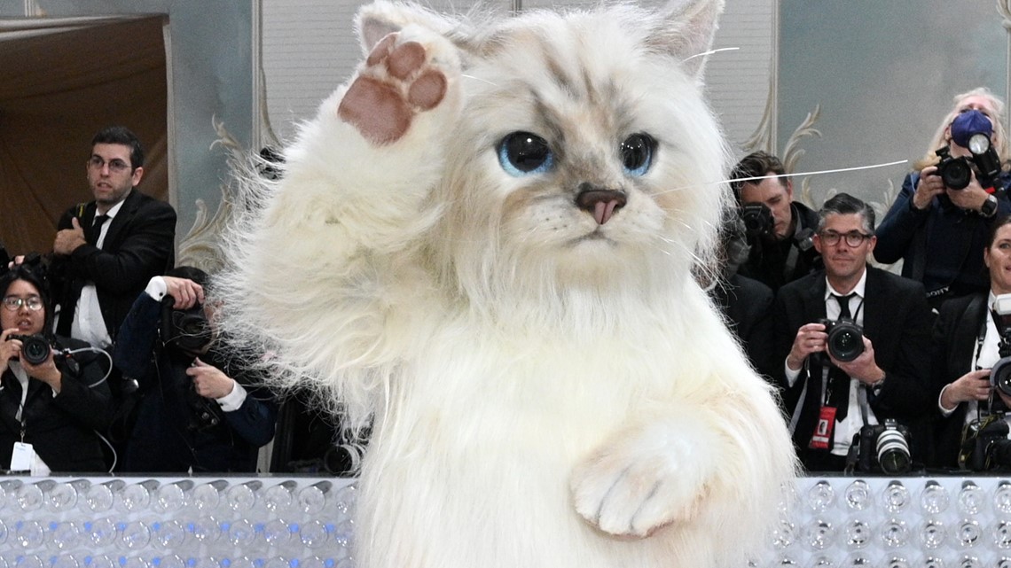 From a cockroach to a life-sized version Karl Lagerfeld's cat, a look at the Met Gala