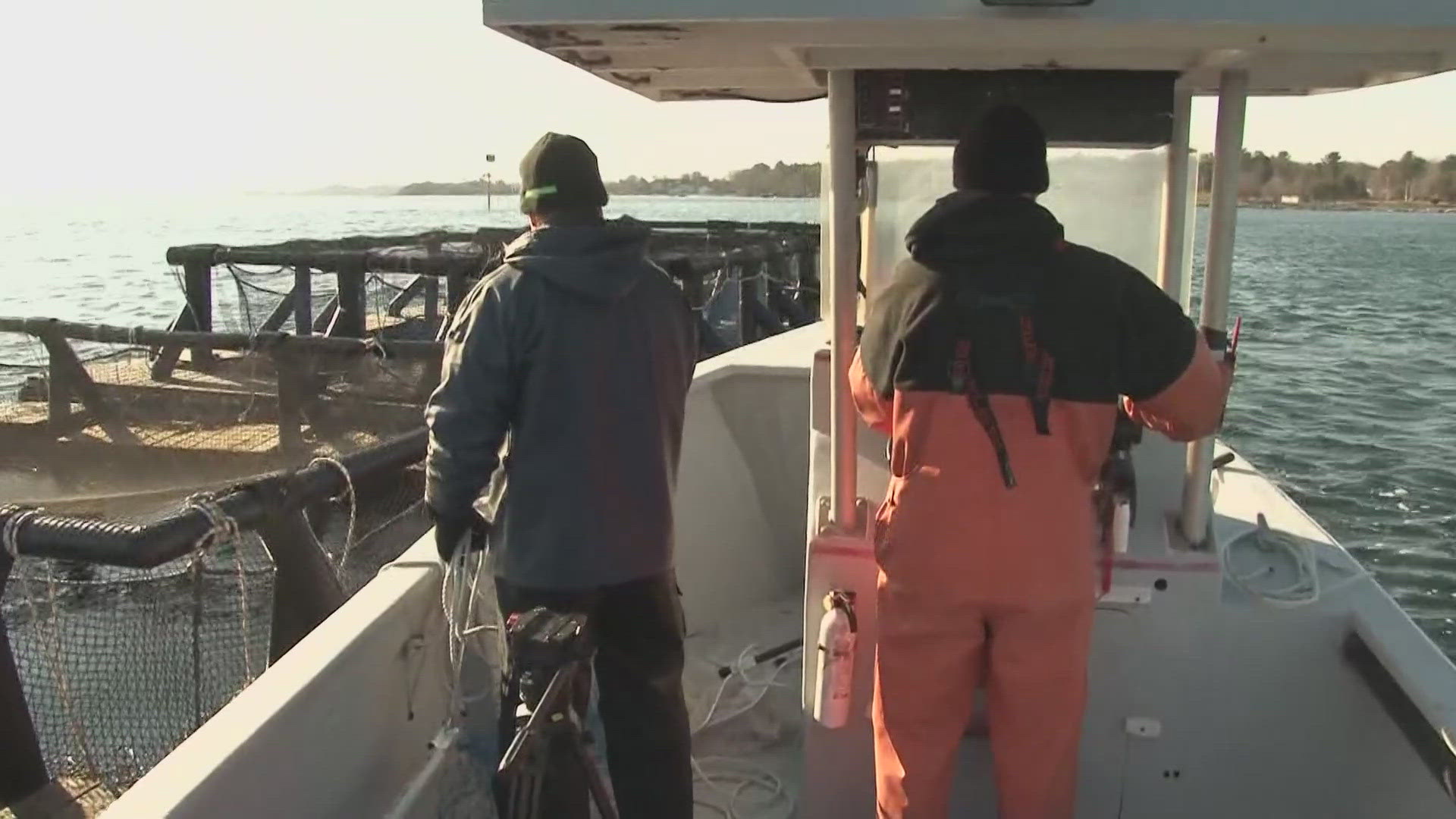 University of Maine scientist Lisa Kerr and a team of researchers are capturing data on how marine species adapt to a changing ocean climate.