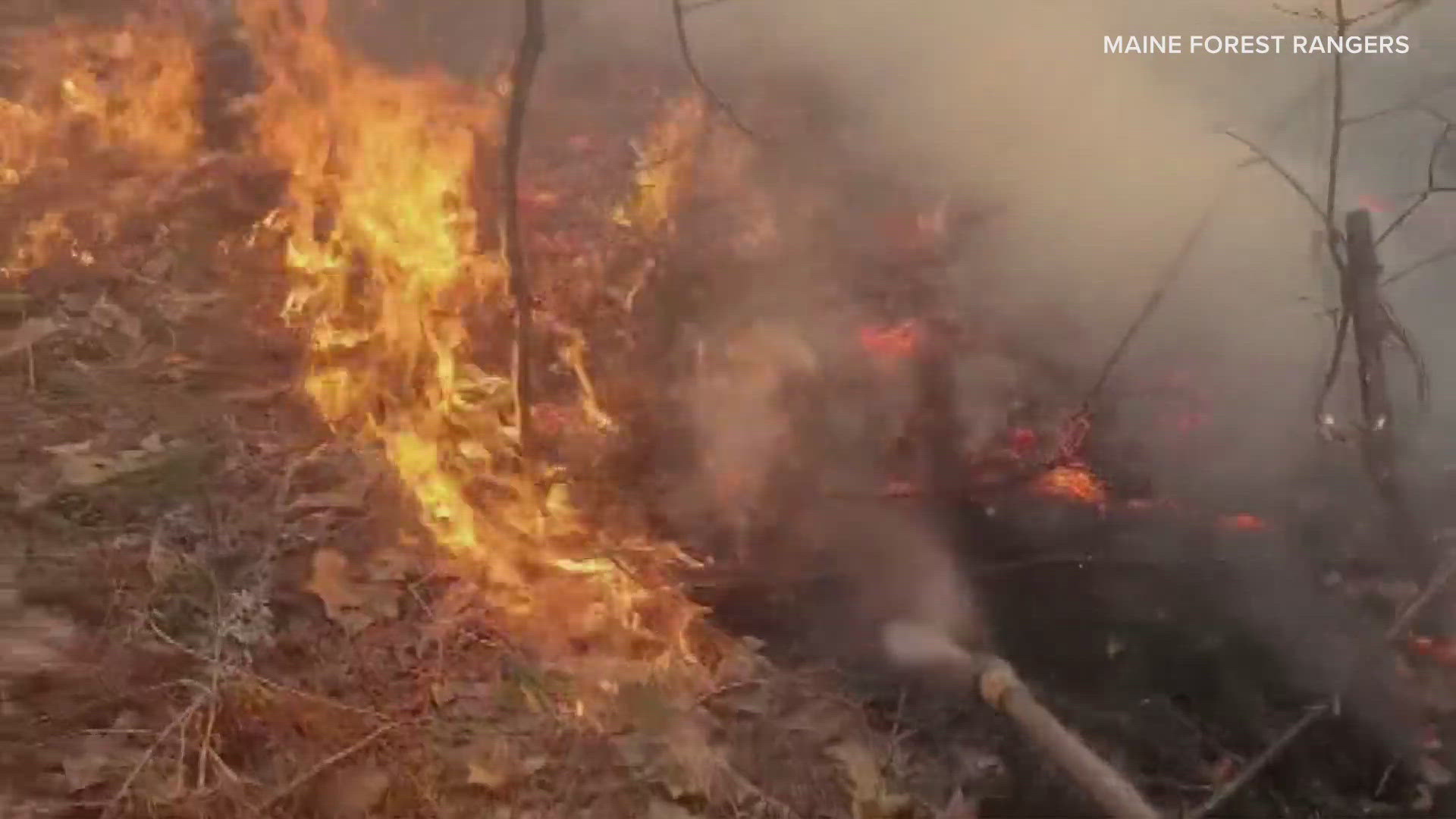 Maine Forest Rangers said they were able to put out the 6.5-acre wildfire with the help of five fire departments and a helicopter.