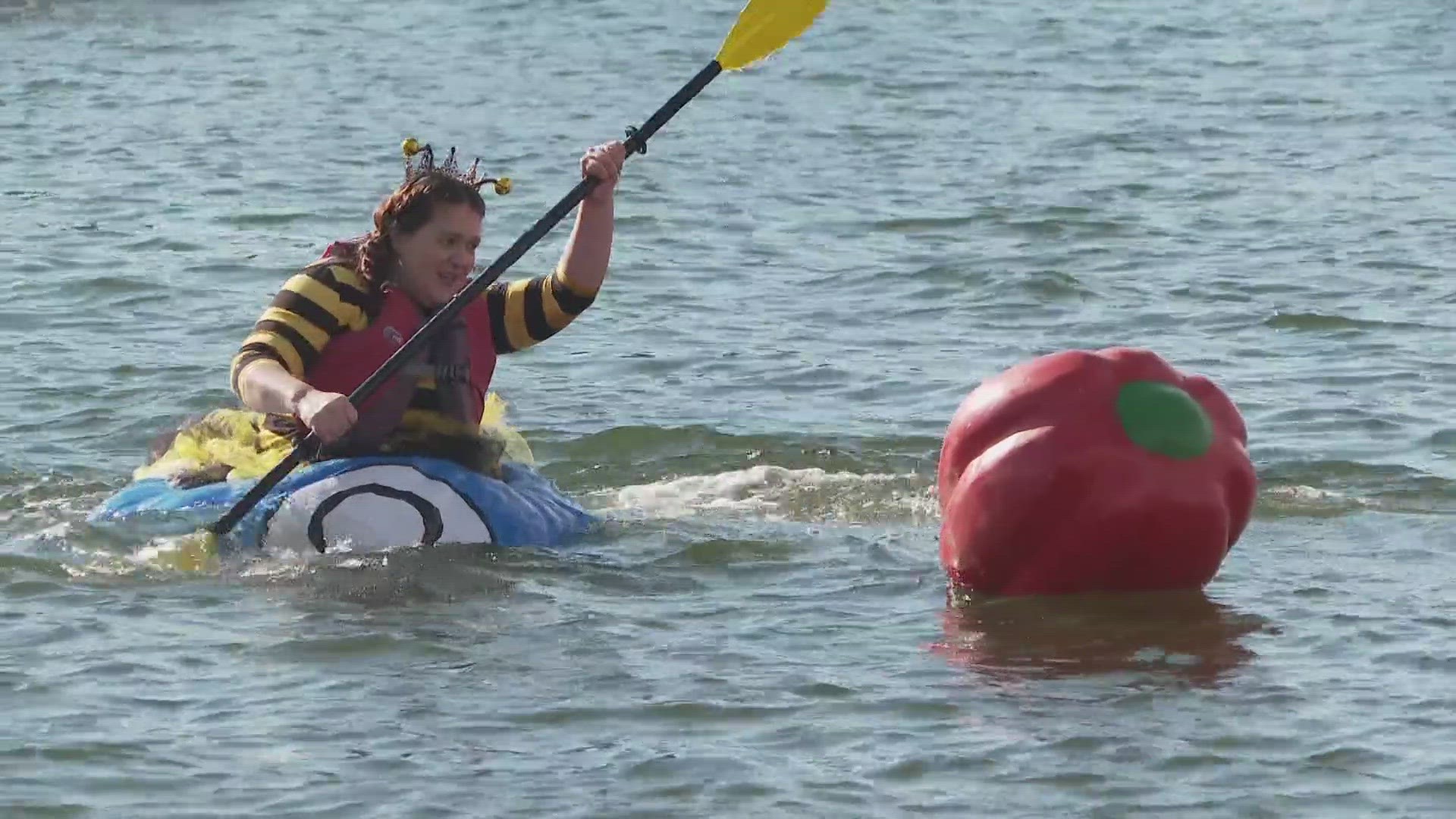 The races are part of the annual Damariscotta Pumpkinfest.