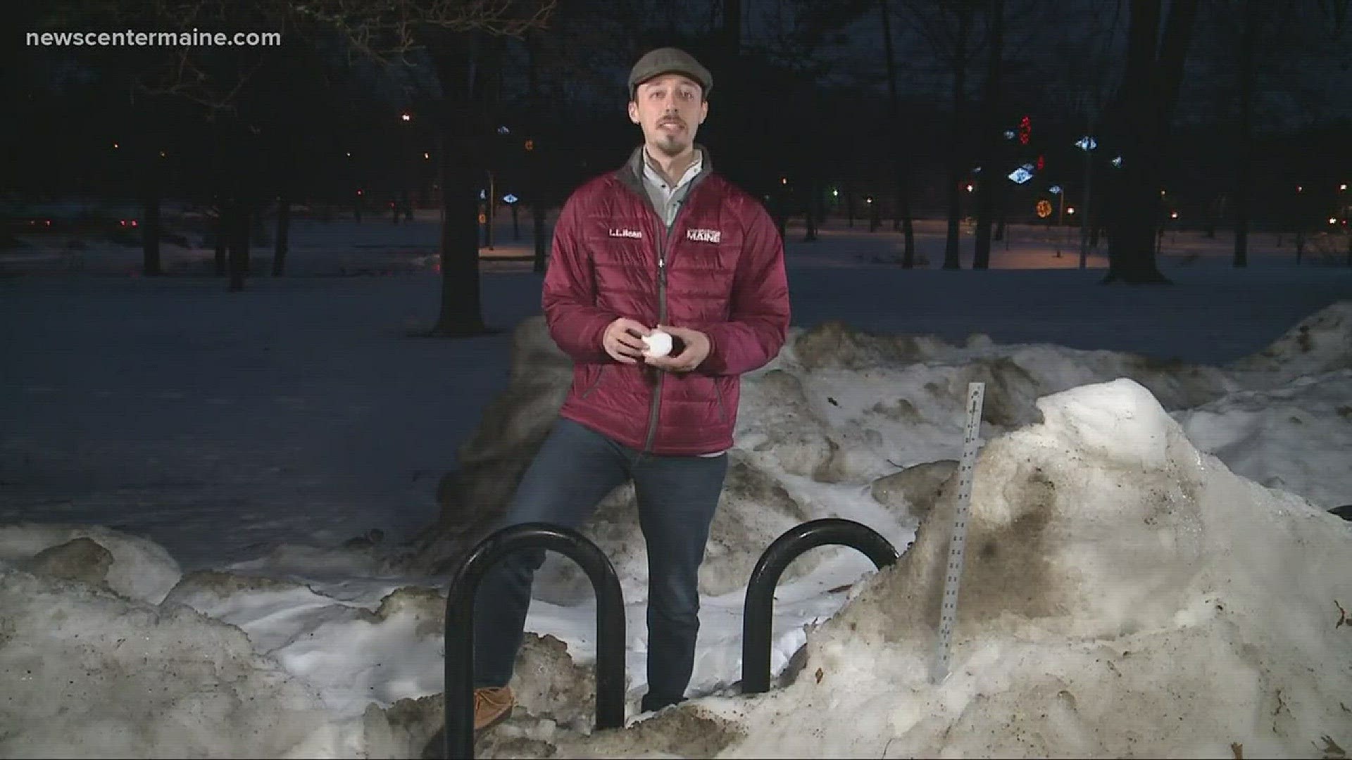 Cory Checks Out Melting Snowbanks in Deering Oaks Park In Portland