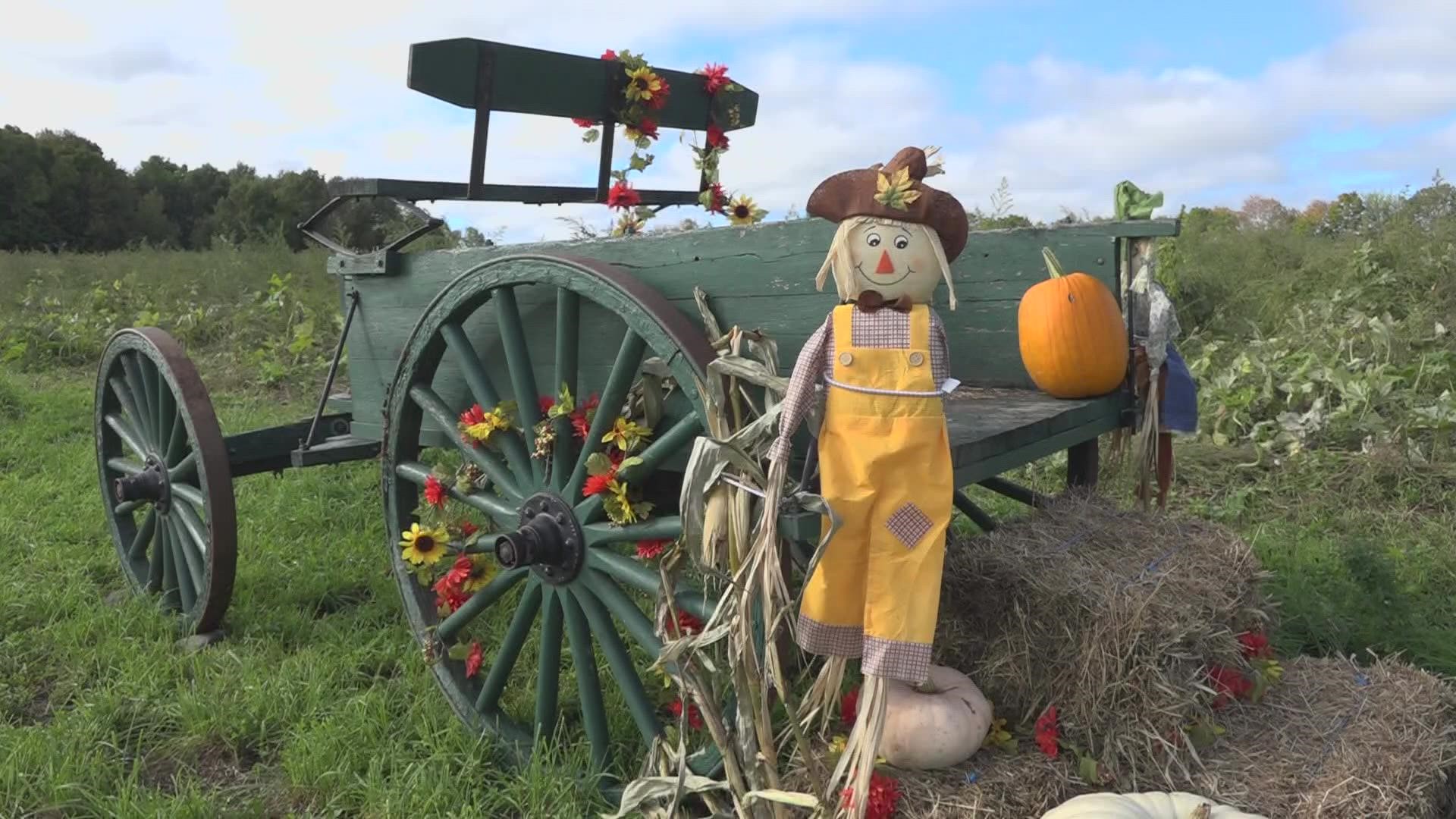 As folks flock to pick apples and pumpkins, fall festivities may look a little different this year.