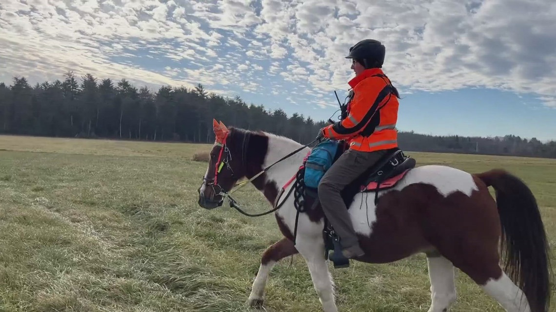 Maine search-and-rescue crews have a new resource: a horse named Kodak