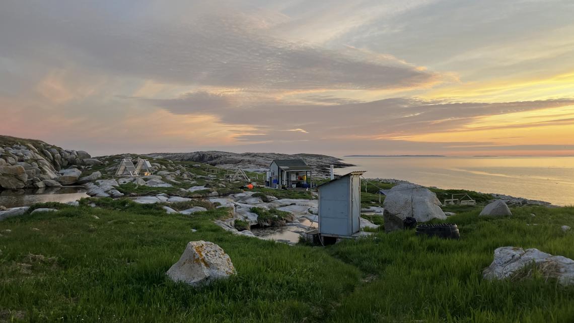 Life as an avian researcher living on a Maine island with puffins ...