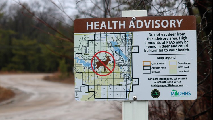 'Forever chemicals' in deer, fish challenge hunters, tourism