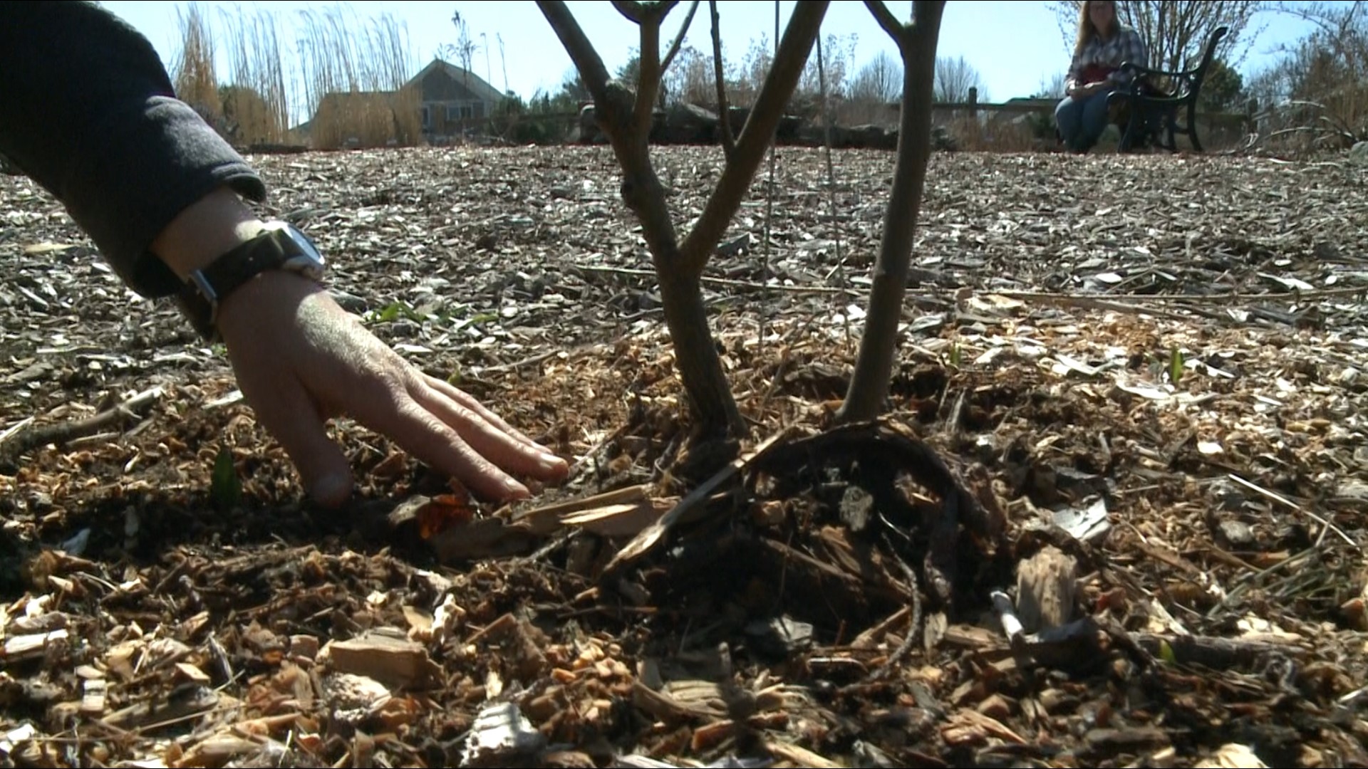 Learn the different ways to mulch your vegetable and flower garden.