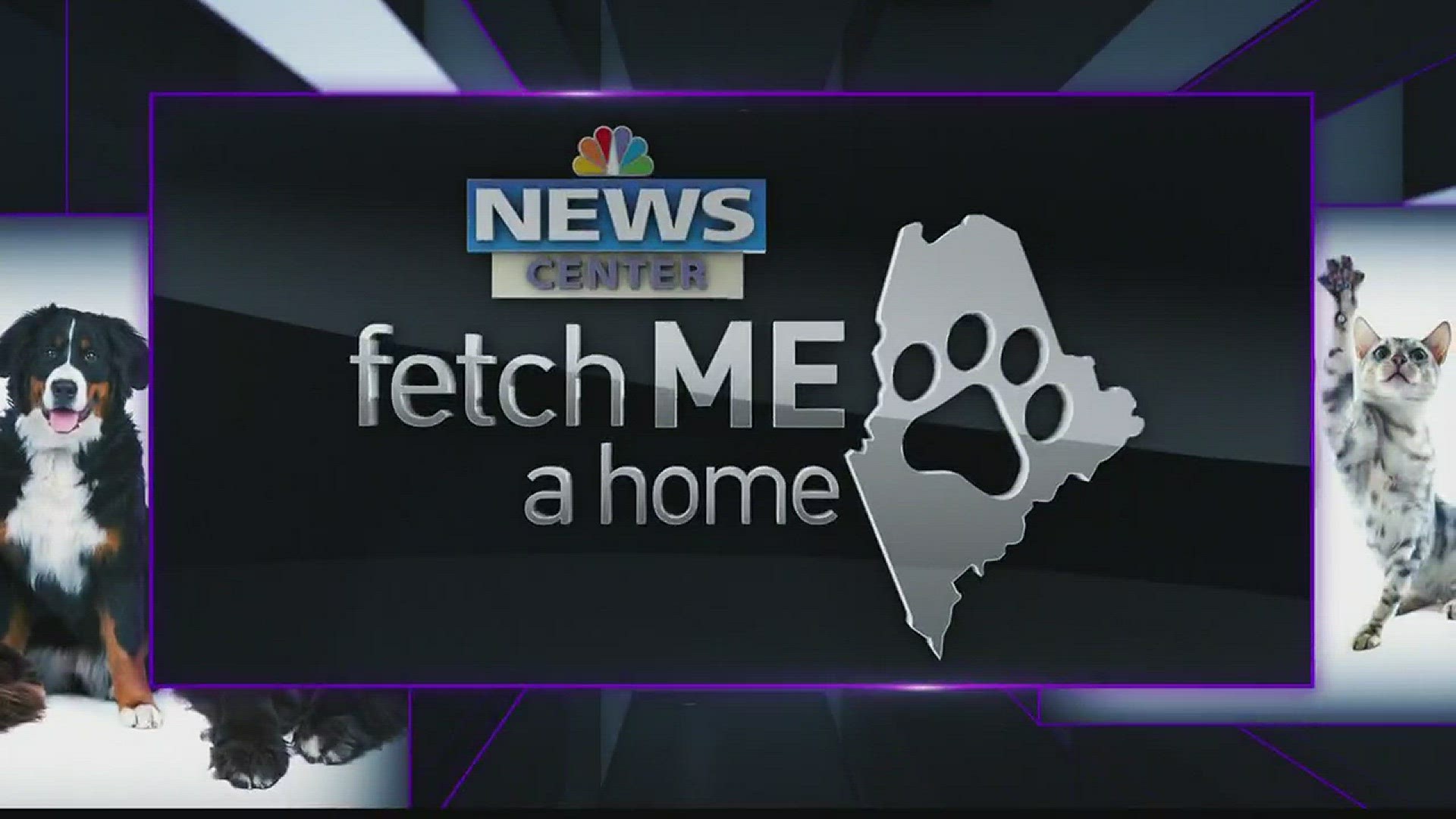 Fetch Me a Home 04-17-16