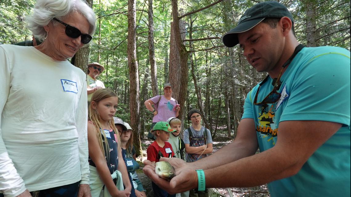 Alewives return en masse to spawning grounds not seen in decades - Vimarsana News