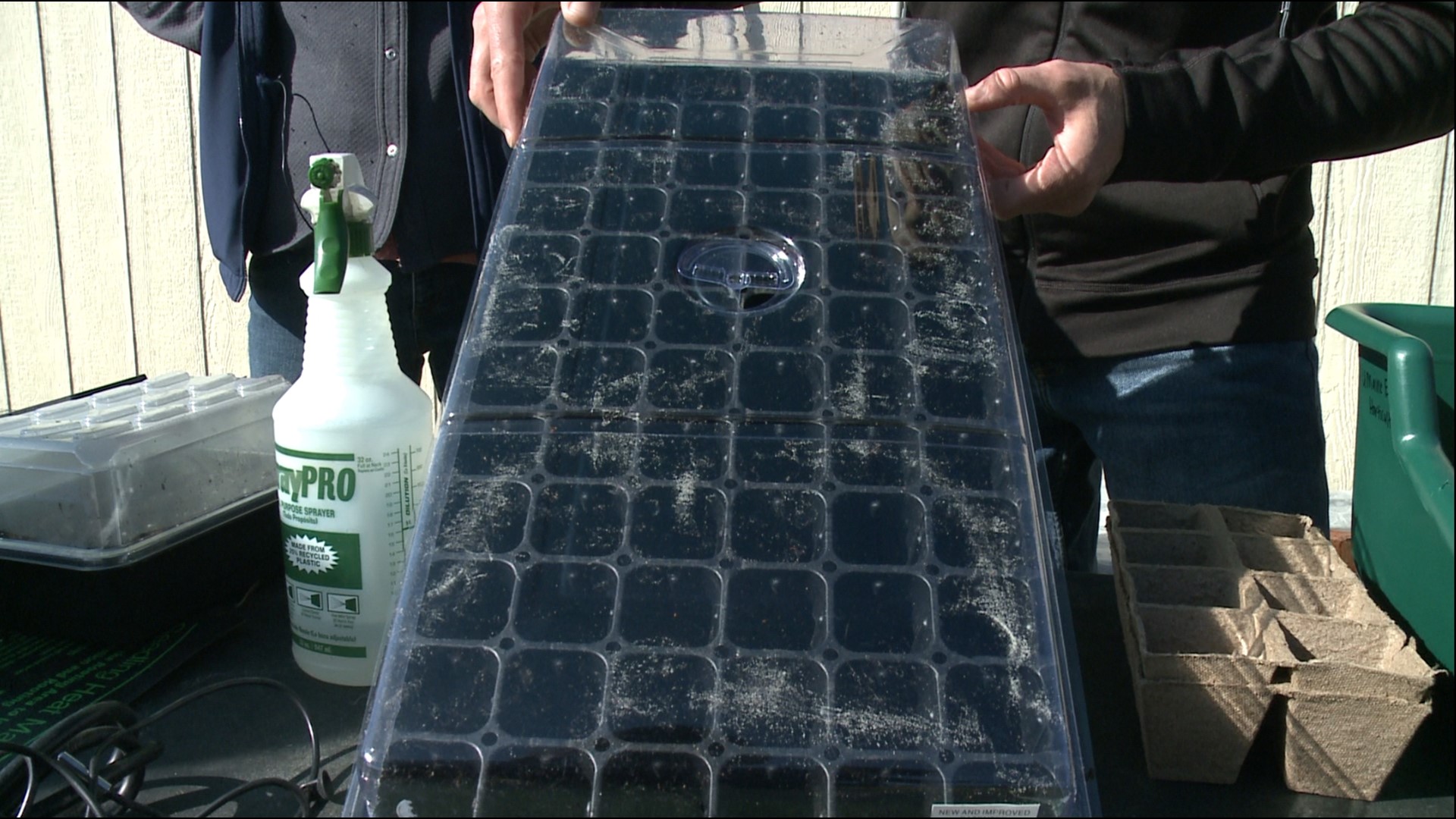 Starting seedlings can be a great way to get a head start on the growing season.