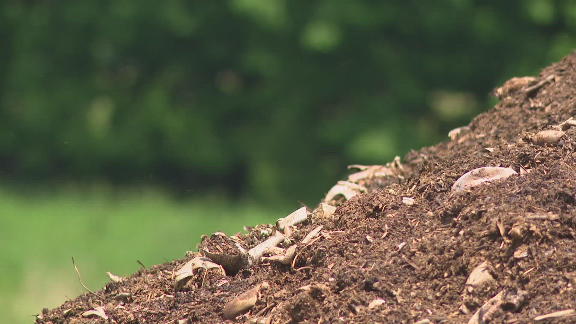 Benson Farm has become a go-to place to bring deceased whales, giving the beautiful creatures a peaceful resting place as they create nutrient-rich soil.