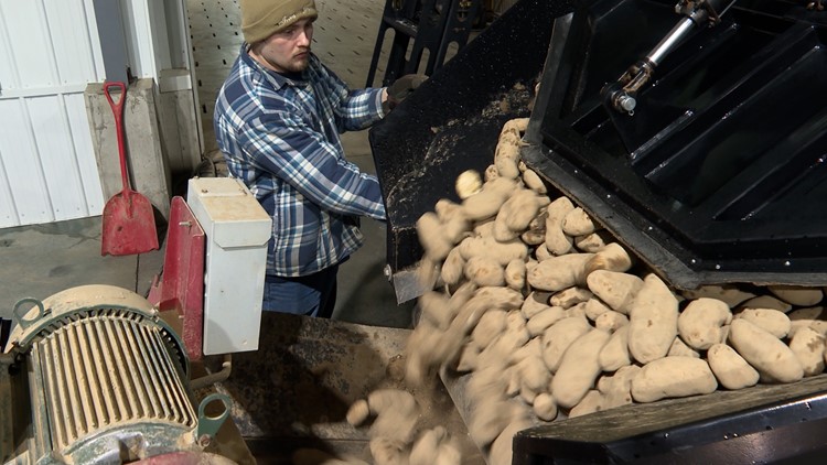 Maine potatoes return to the spotlight after great season