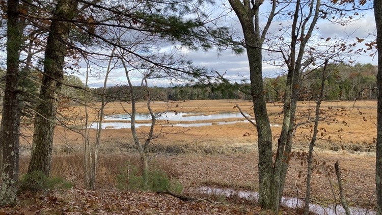 Environmental groups near fundraising goal to purchase 82-acres of marsh and fields to designate as conservation land