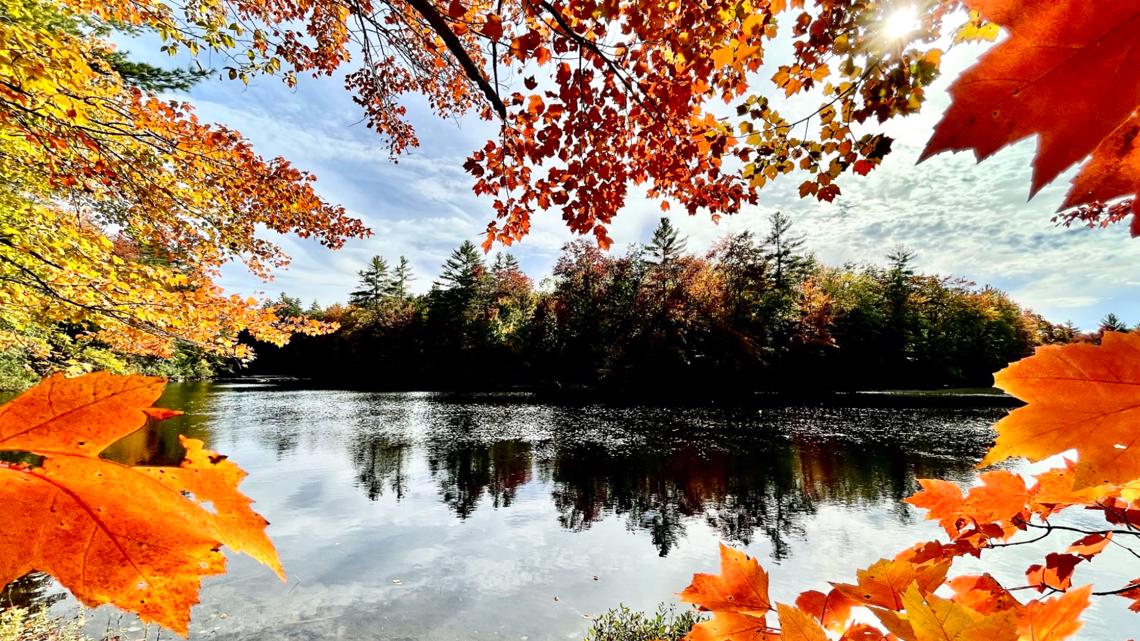 Maine foliage conditions reaching peak in latest foliage report ...