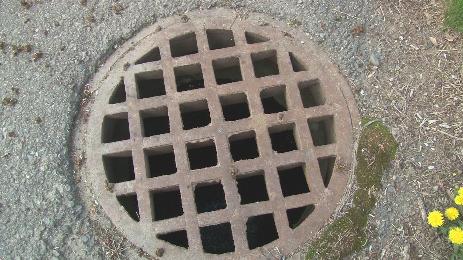 The city announced "Adopt a Storm Drain" hoping to engage the community in clearing storm drains and preventing garbage from entering the storm water system.