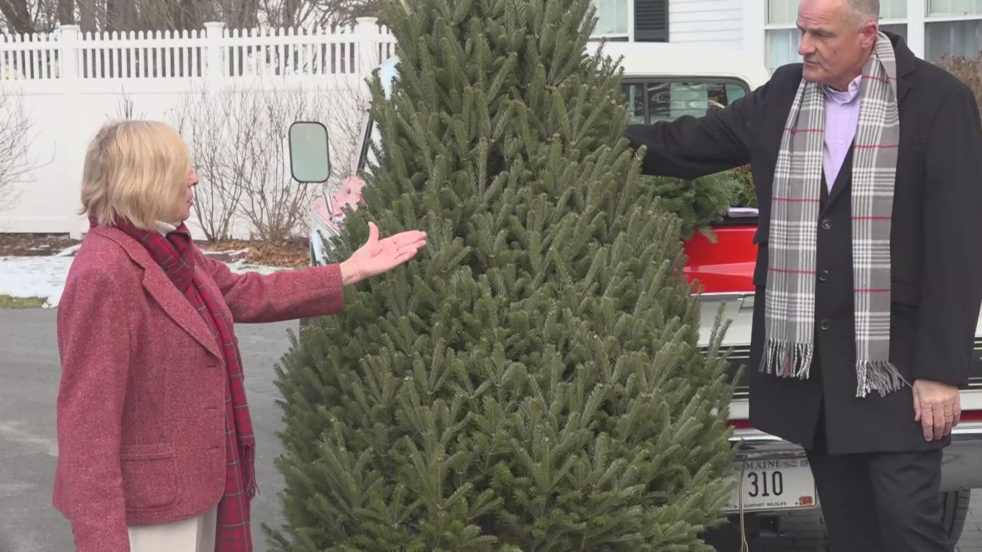 The Maine Department of Agriculture, Conservation, and Forestry said the tree and wreath industry brings in roughly $18 million to Maine's economy. 