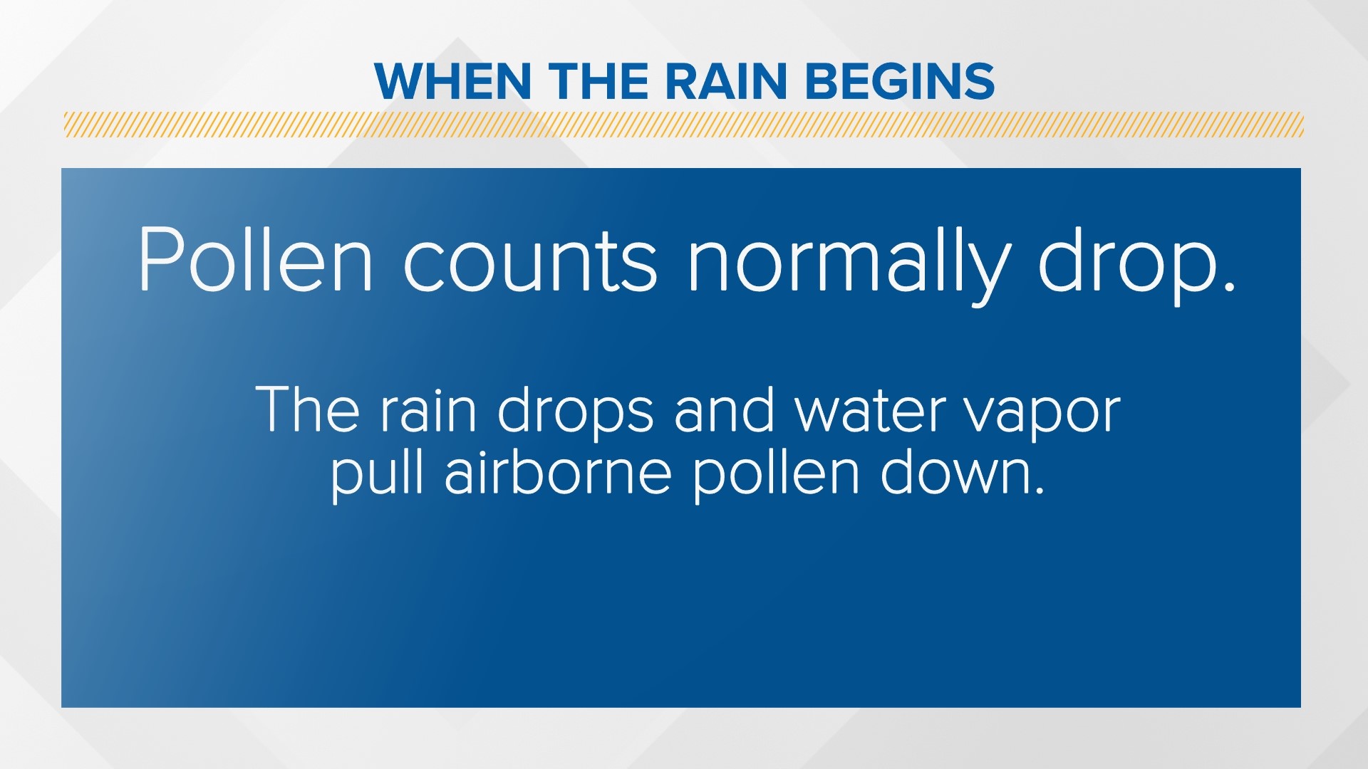 Rain has an affect on your allergies. But is it good or bad?