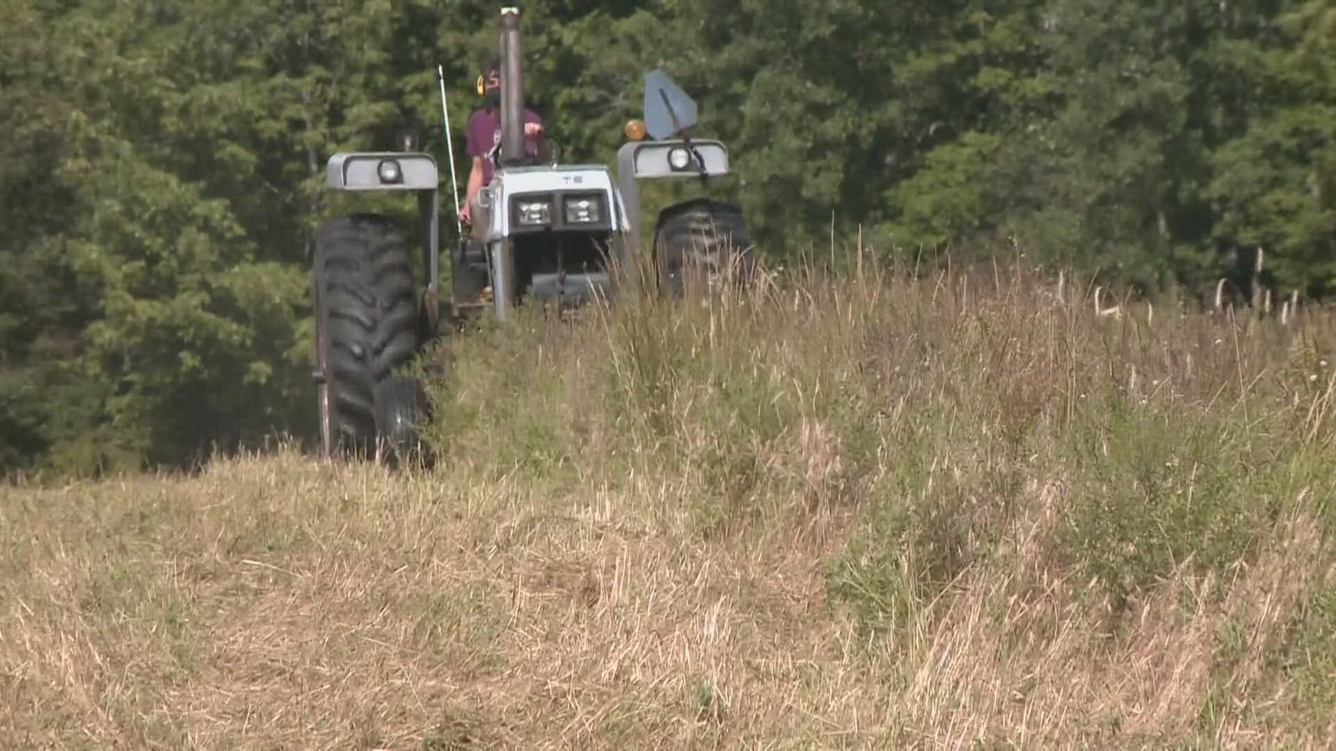 Representatives for Farmland Trust said they bought a farm and are planning to use the land to study how forever chemicals affect agricultural production.