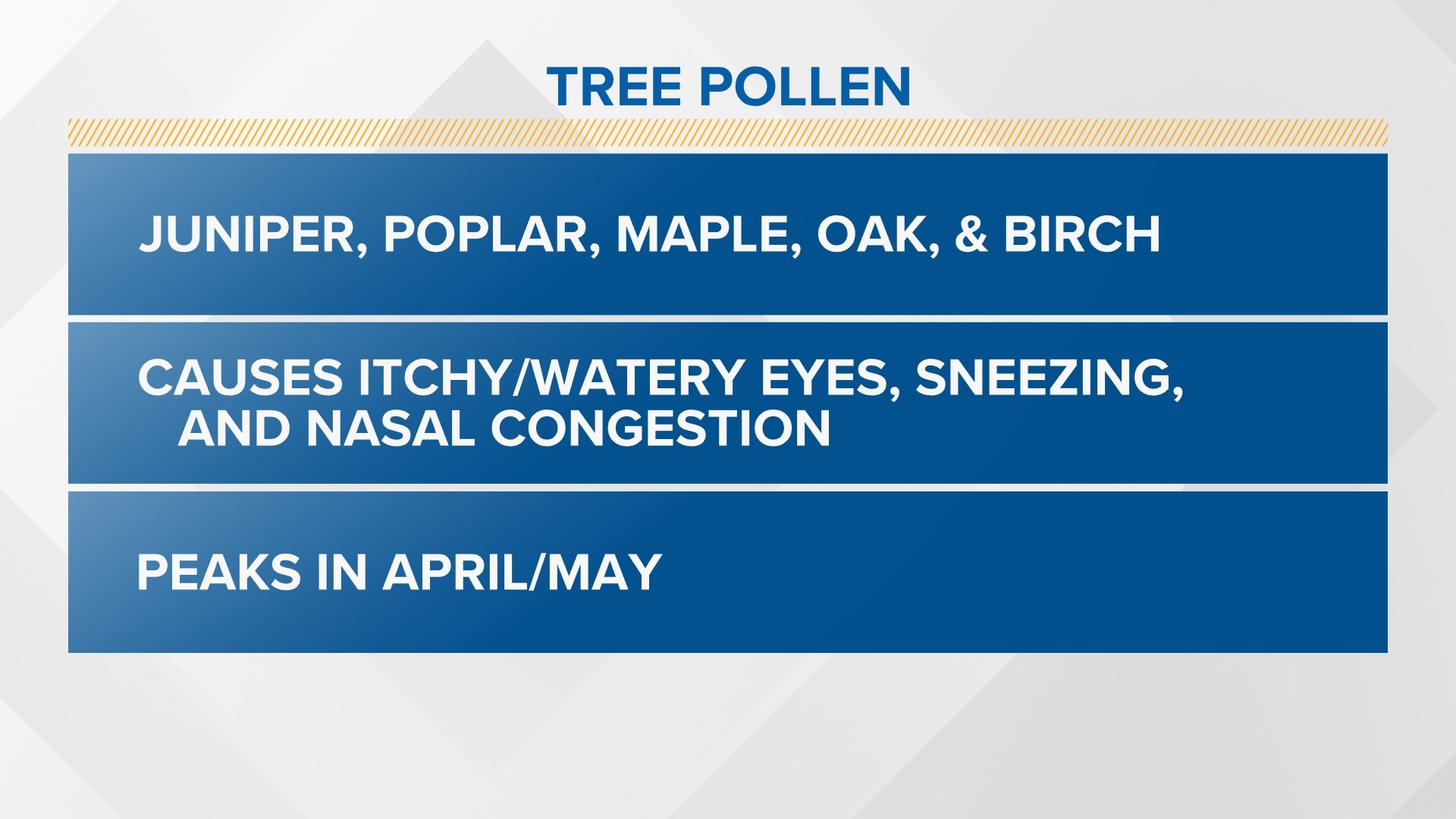 Maine allergy season brings several different types of pollen