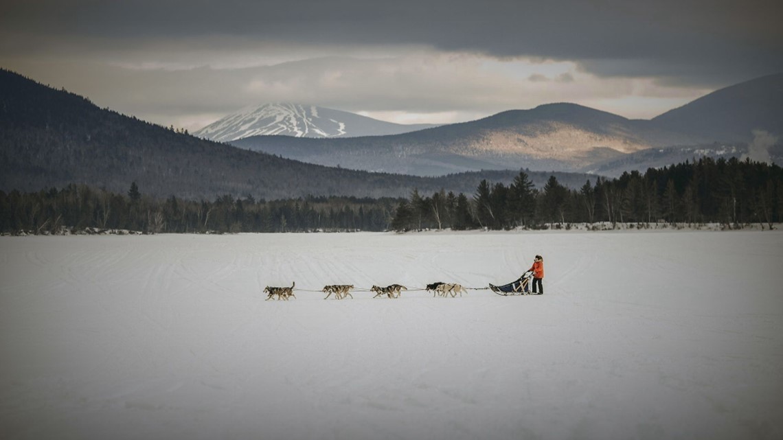 Sled dog racing a serious sport for one Maine woman | newscentermaine.com