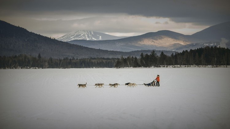 One Maine woman taking sled dog racing seriously