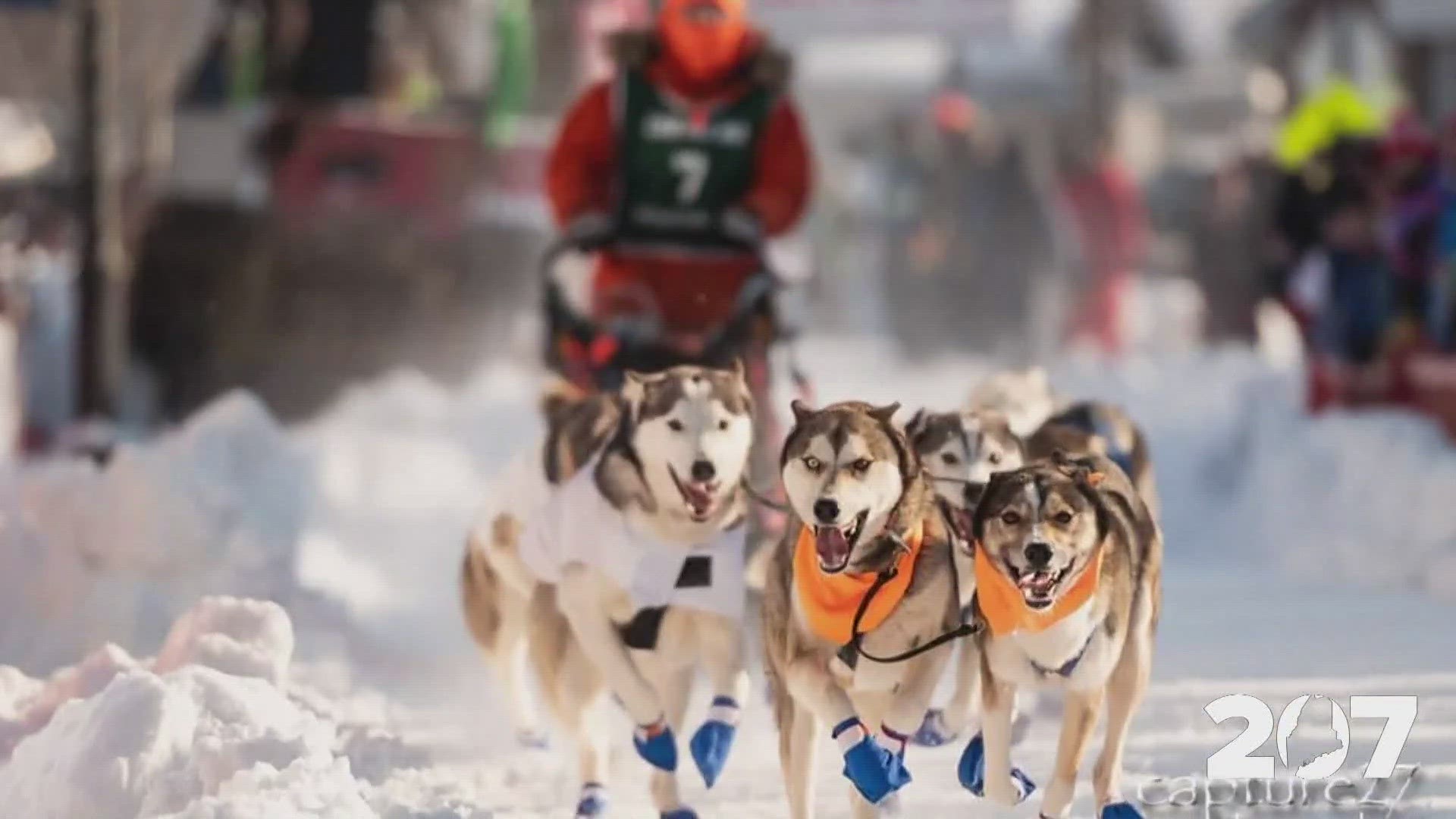 Kacey McCarty has been racing sled dogs since she was a teenager but said her love for the sport started when she was just 10. Now, she runs her own kennel.