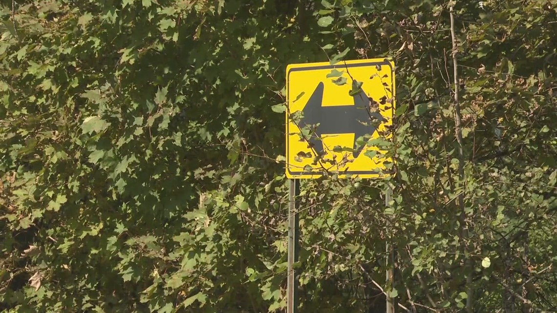 Three who died in Glenburn crash identified