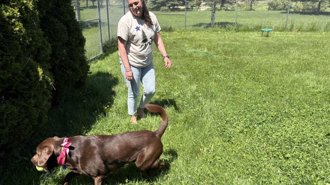As peak tick season intensifies, experts warn pet owners about the rising threat of tick-borne diseases in dogs