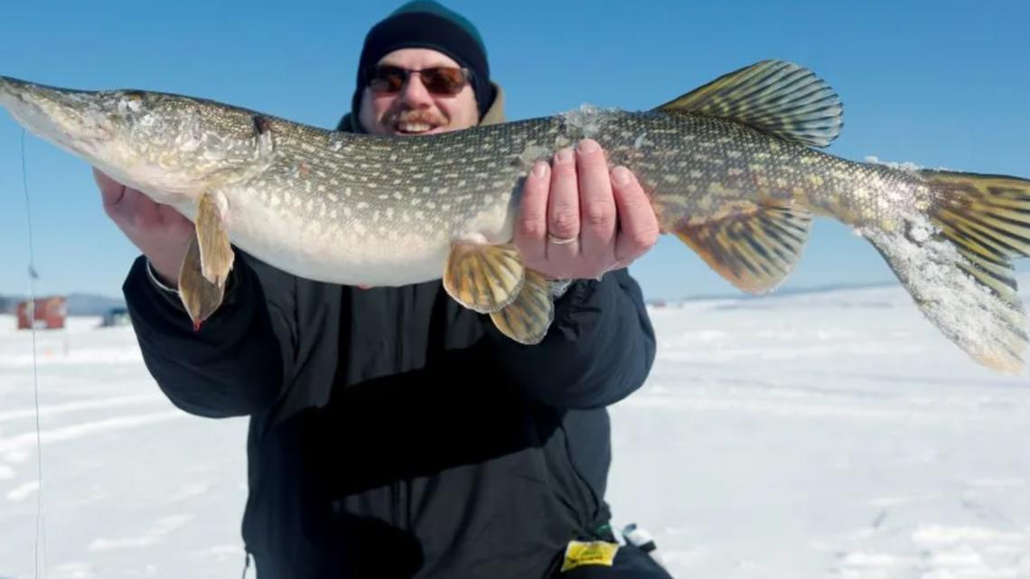 Bogus document on pike regulations in Maine highlights ‘hot button’ fishing issue