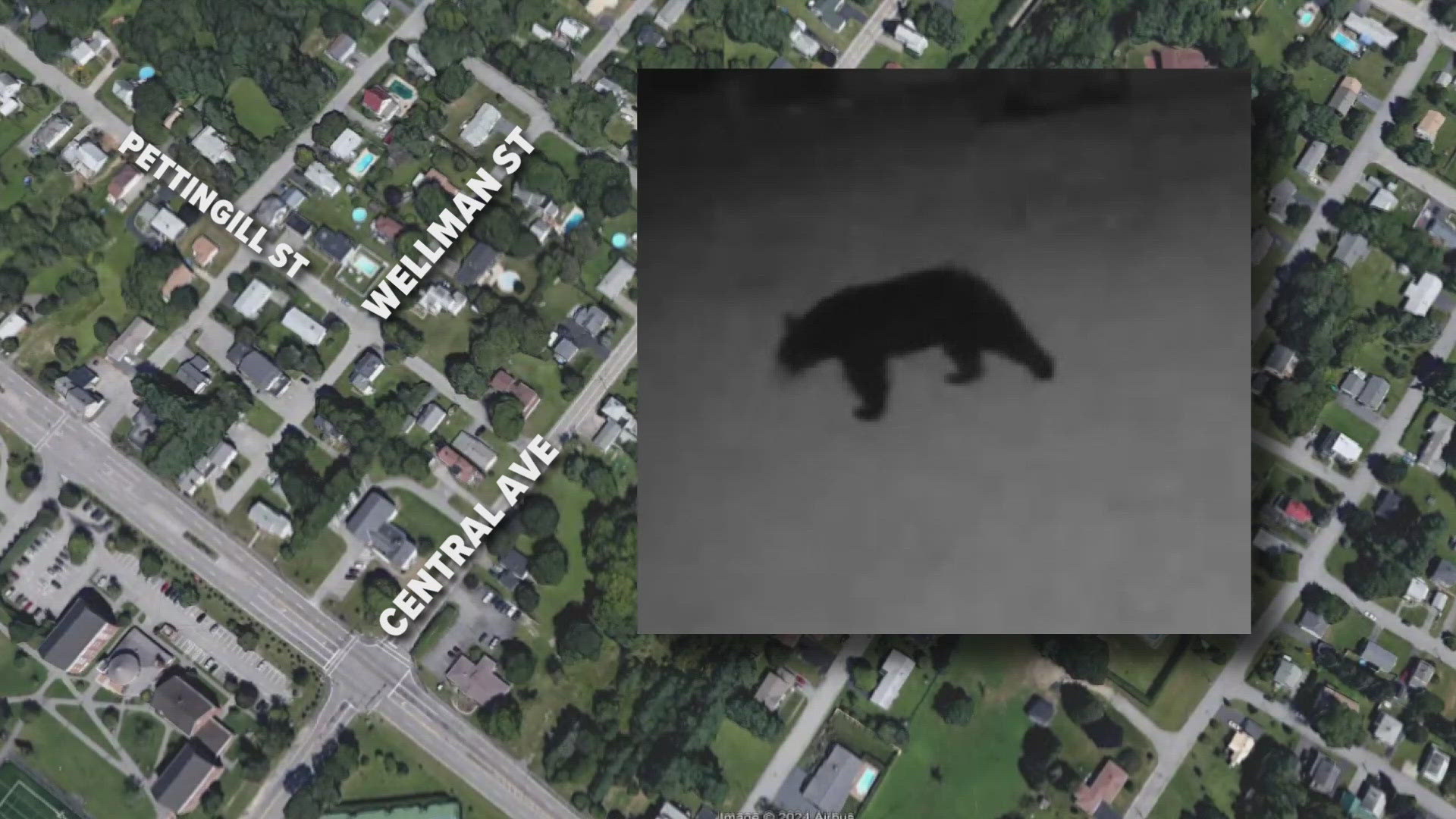 Police say people should take steps to keep the bear from stumbling onto their property.