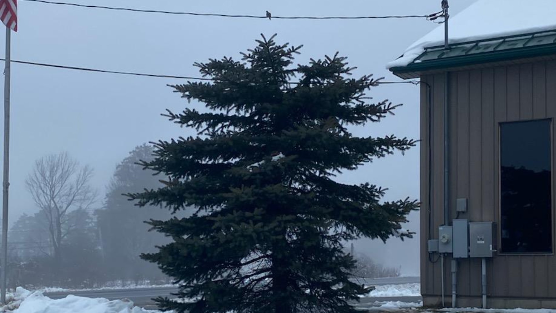 Someone cut off the top of a tree outside Vassalboro FD
