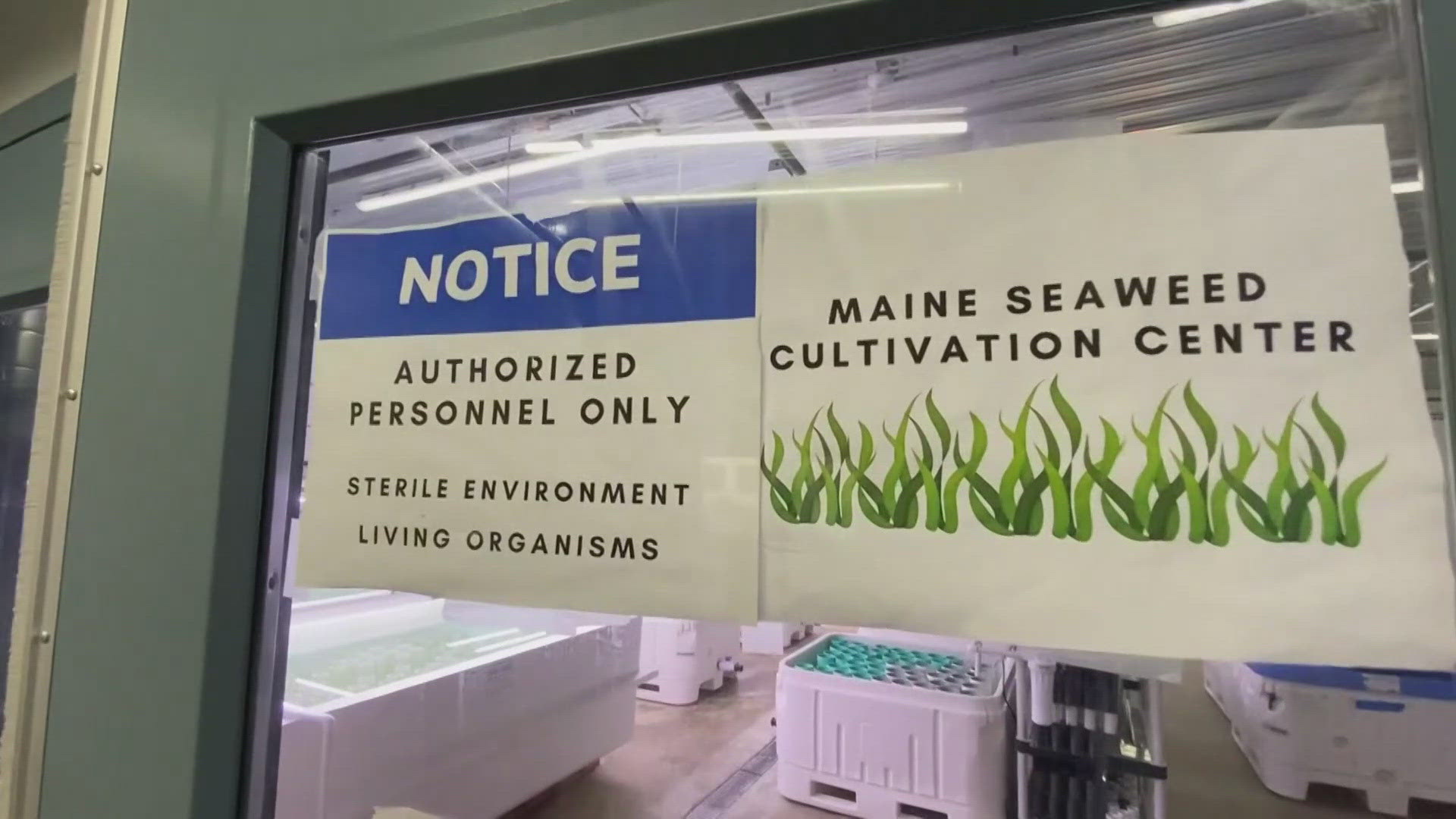 The U.S. Chamber of Commerce just put Atlantic Sea Farms, based in Biddeford, on its top 10 national list.