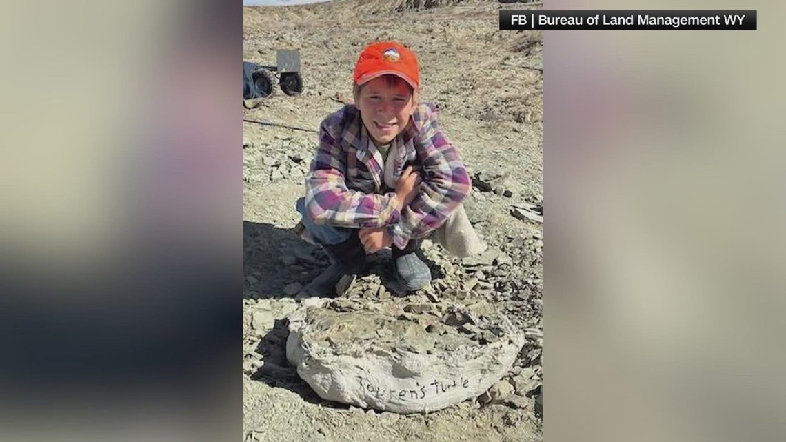 Eleven-year-old from Wyoming digs up ancient turtle fossil