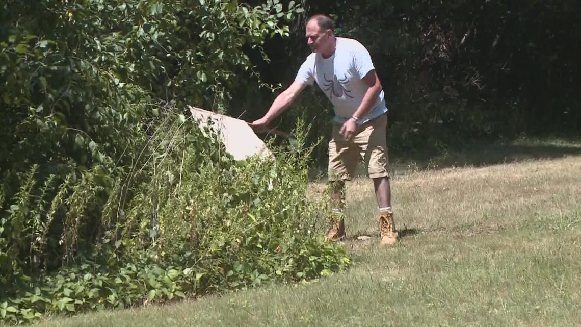 Inventor creates tool to remove ticks at all stages