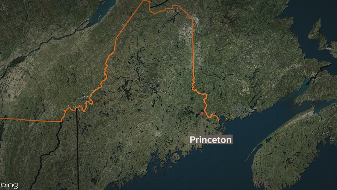 Princeton man dies in crash