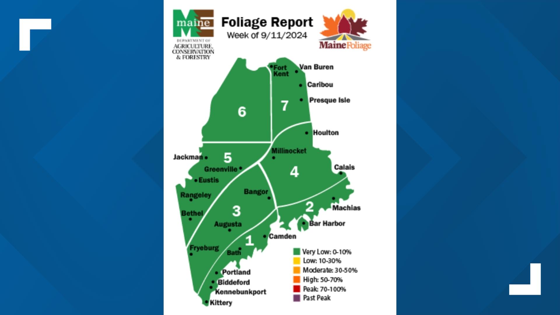 Maine foliage spokesperson Gale Ross hinted that the summer season may have been the perfect combination of weather to ensure a successful, bright foliage season.