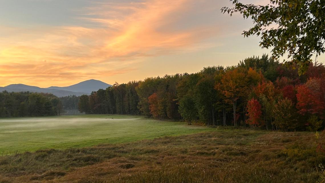 Maine nears peak fall foliage conditions | newscentermaine.com - Vimarsana News