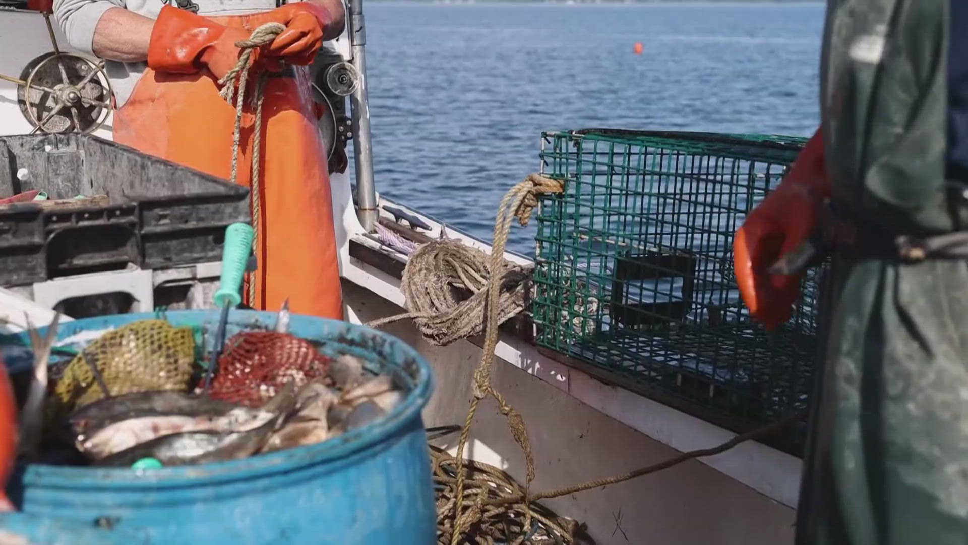 Maine's lobster industry weighs child labor case involving House ...