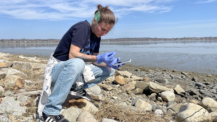 Maine climate change protections for ocean and beaches rank top in US, study finds
