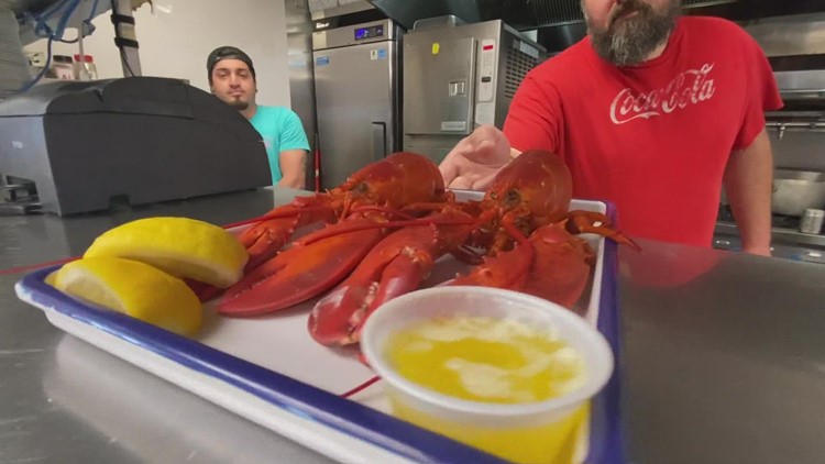 National Lobster Day comes after a tumultuous year for the Maine fishery
