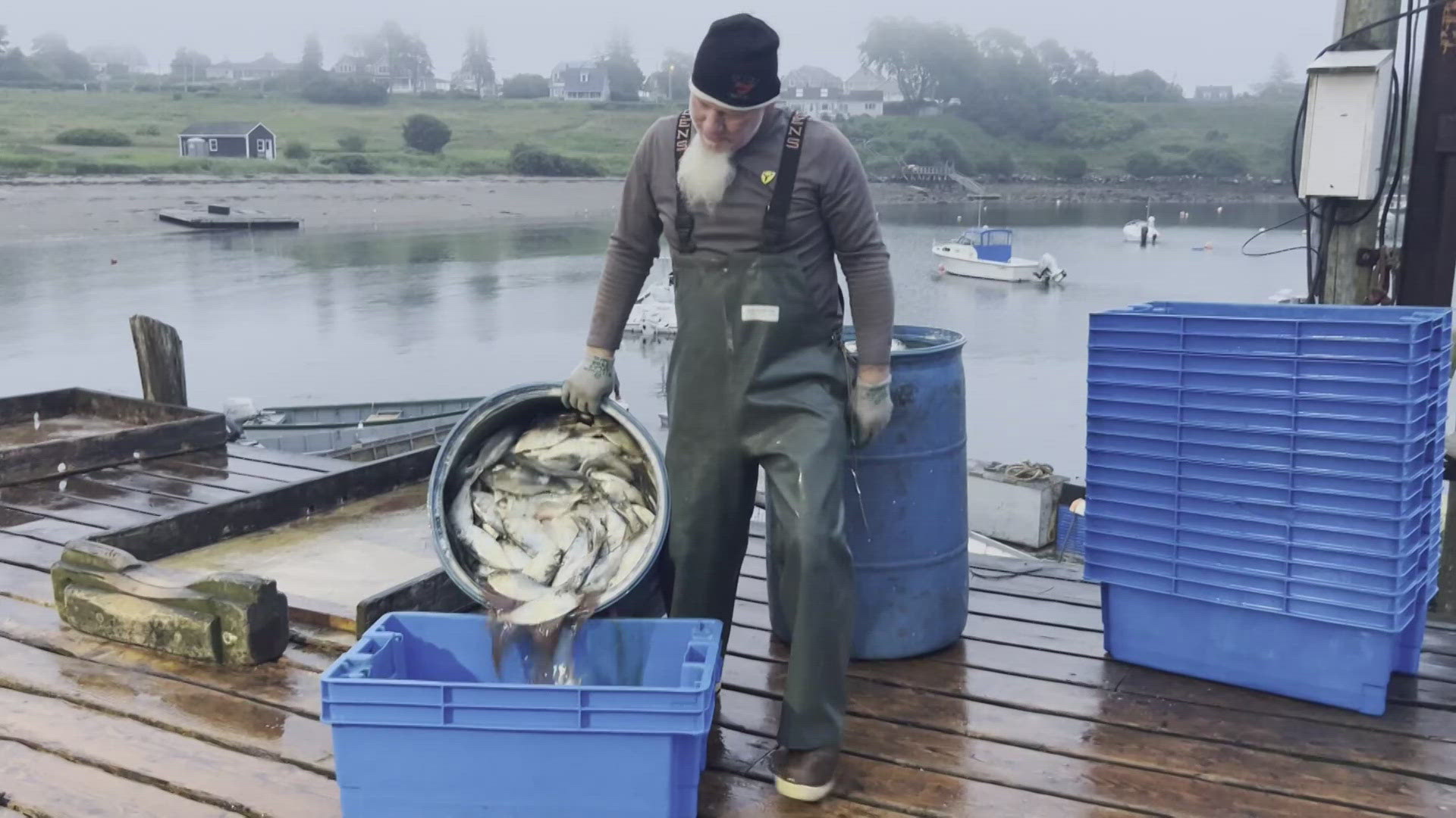 Lobstermen along Harpswell's working waterfront say they're facing considerable challenges associated with the high costs of living and working on the coast.